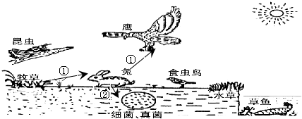 360优课网