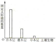 360优课网