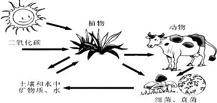 360优课网