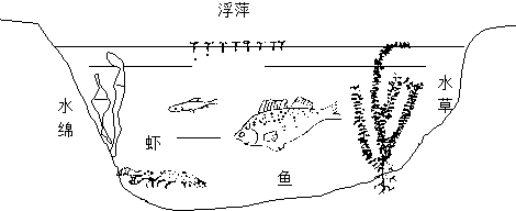 360优课网