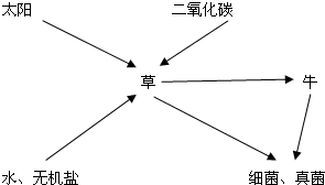 360优课网