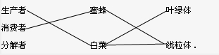 360优课网
