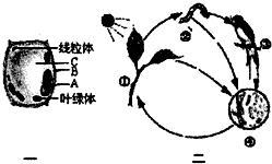 360优课网