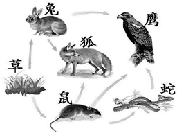 360优课网