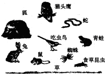 360优课网