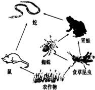 360优课网