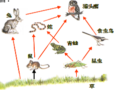 360优课网