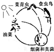 360优课网