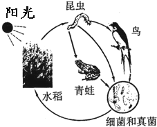 360优课网