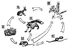 360优课网
