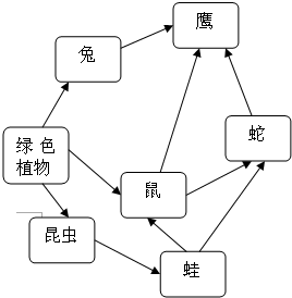 360优课网