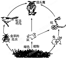 360优课网