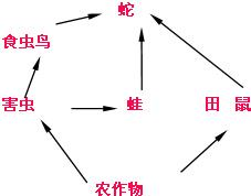 360优课网