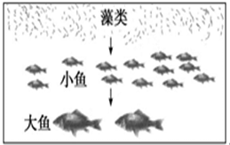 360优课网
