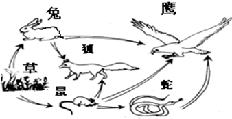 360优课网