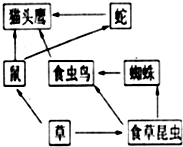 360优课网