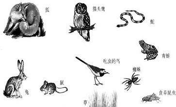 360优课网