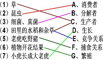 360优课网