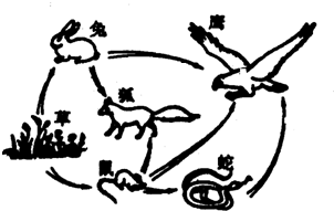 360优课网