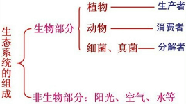 360优课网