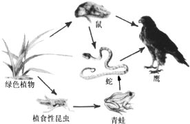 360优课网