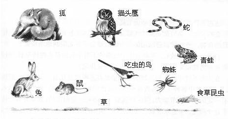 360优课网