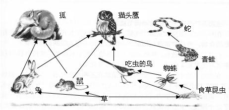 360优课网