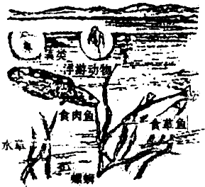 360优课网