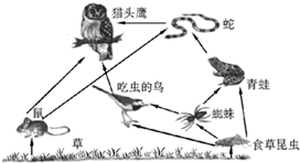 360优课网
