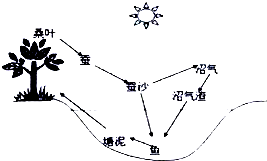 360优课网