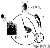360优课网
