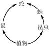 360优课网