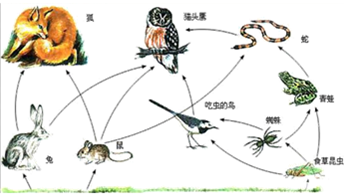 360优课网