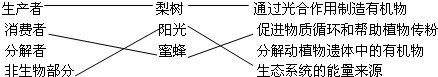 360优课网