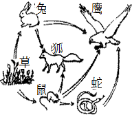 360优课网