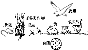 360优课网