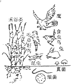 360优课网