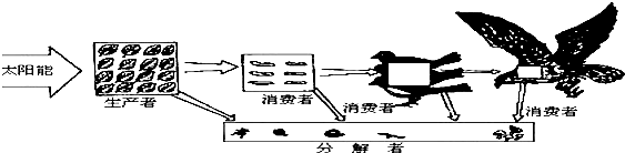 360优课网