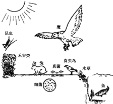 360优课网