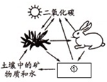 360优课网