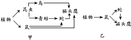 360优课网