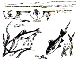 360优课网