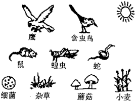 360优课网