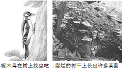 360优课网