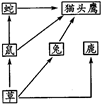 360优课网