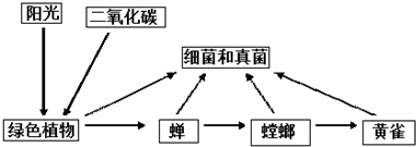 360优课网