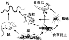 360优课网