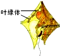 360优课网