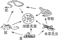 360优课网