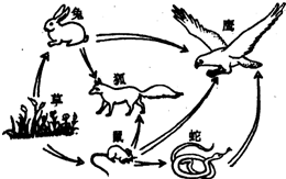 360优课网